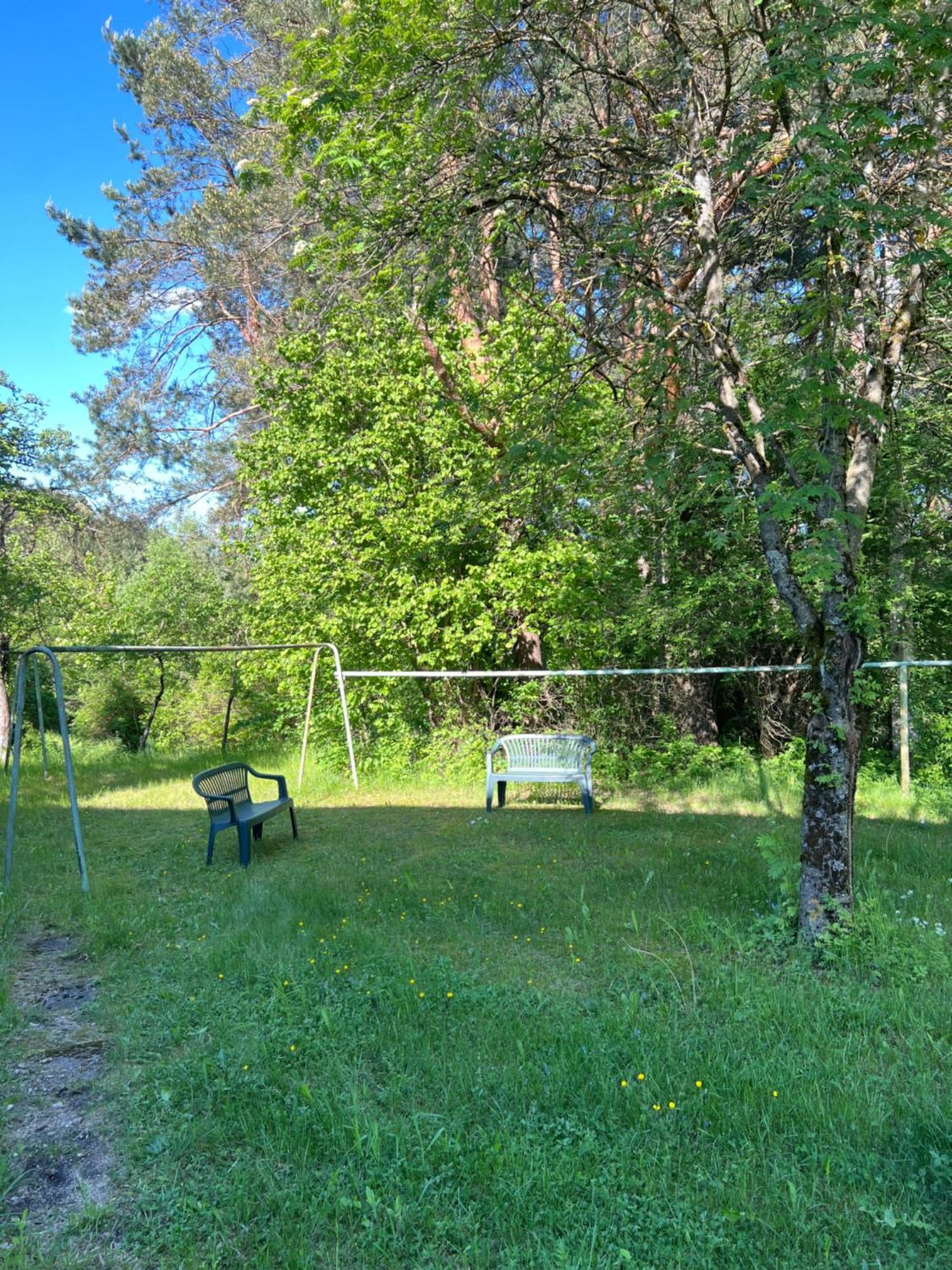 Lägenhet Apartamentas - Zalia Pusis Vilnius